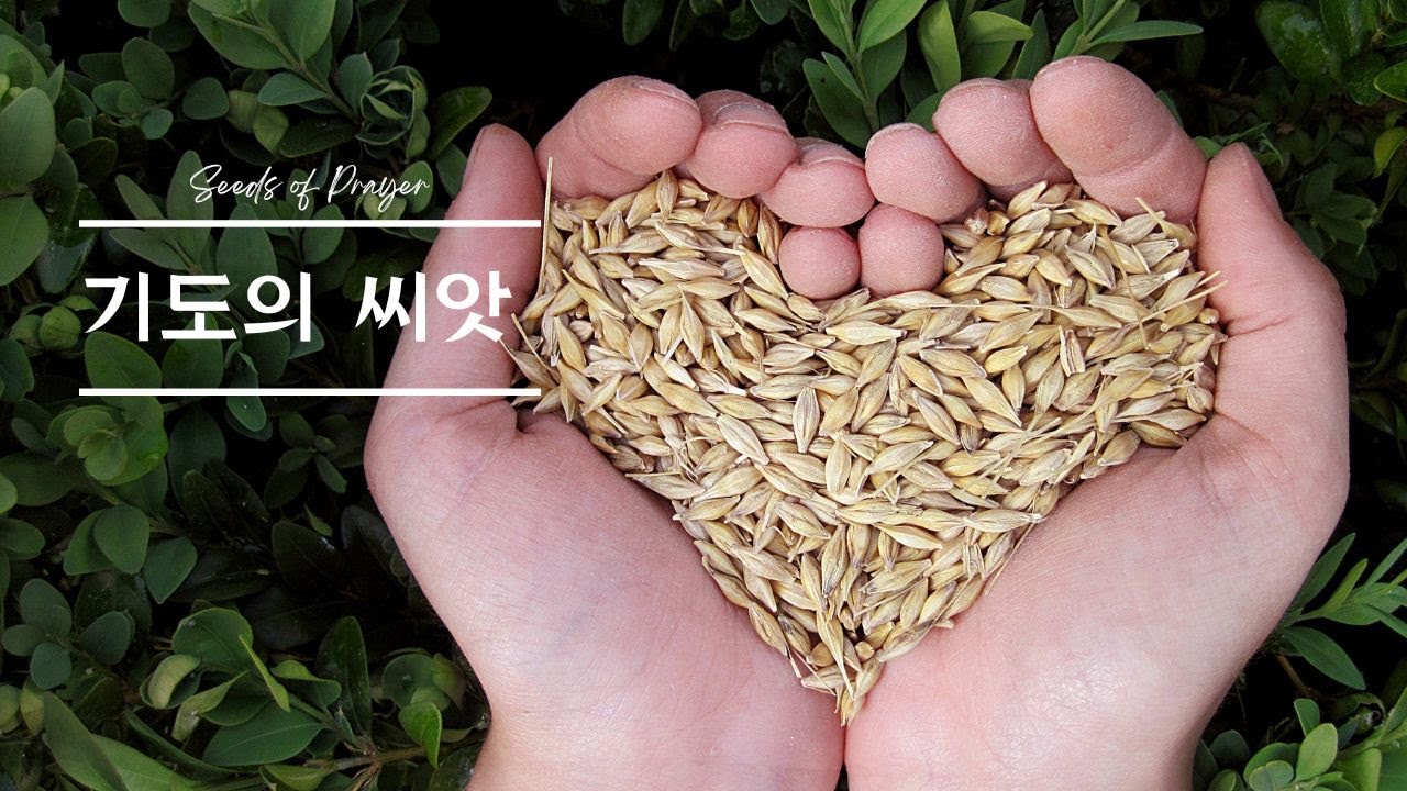 [기도의 씨앗] 기도를 심는 특별한 시간 01-16-2026  🌱1195