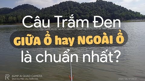 CÂU TRẮM ĐEN NÊN ĐÁNH GIỮA Ổ HAY NGOÀI Ổ? | Sunkiss - Chia sẻ Kinh nghiệm Câu Lục