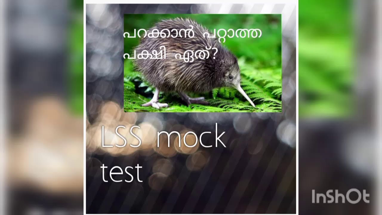 LSS mock test 1 