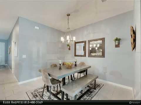 12215 STREAMBED DRIVE, Riverview, FL home video tour