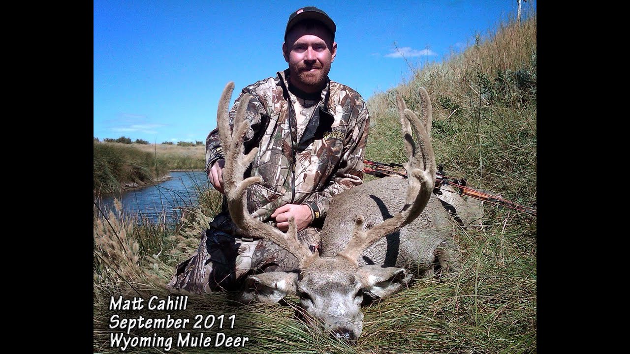 Wyoming Mule Deer bow hunt with long shot on spot and stalk hunt! ARROW