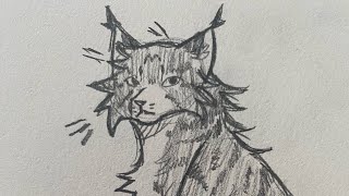 uhhhhh big art dump (+animations) bc i need to get a good art class