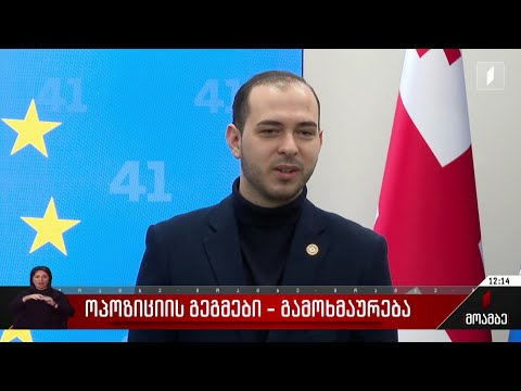ოპოზიციის გეგმები - გამოხმაურება პოლიტიკურ სპექტრში