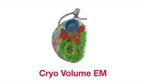 Volume electron microscopy, CLEM, and cryo tomography lamellae preparation with the Hydra Bio PFIB