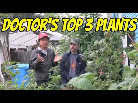 MD Reveals 3 Plants You Should Grow to Help Reverse Chronic Disease