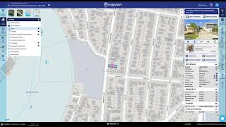 How to apply a layer overlay on Mapview