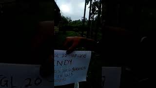 Pedang Shogun ... Mau Di Jual