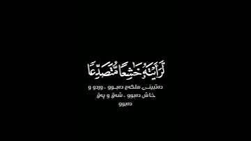 لو أنزلنا هذا القرآن على جبل شاشة سوداء | كرومات قرآن كريم | ياسر الدوسري حالات واتس