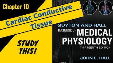 Guyton and Hall Medical Physiology (Chapter 10) REVIEW Cardiac Conductive Tissue || Study This!
