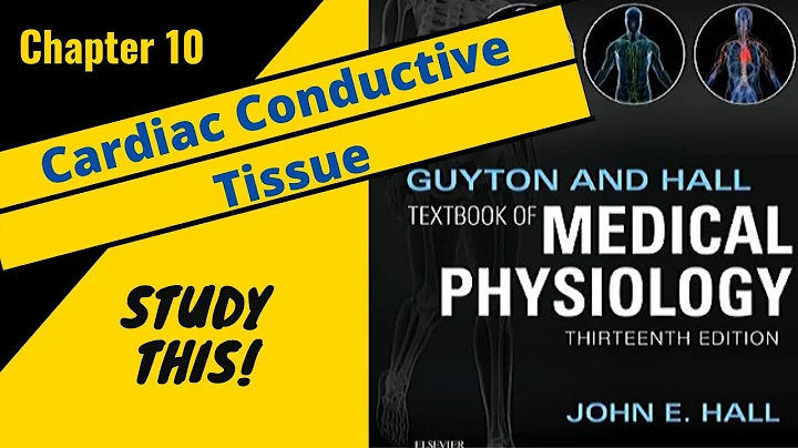 Guyton and Hall Medical Physiology (Chapter 10) REVIEW Cardiac Conductive Tissue || Study This!