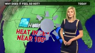 Famous Meteorologist Ashley Kramlich Updated Resume Reel (Aug. 2017) Net Worth