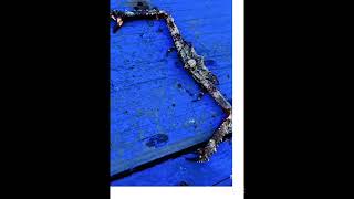 underwater🌊 monster 💀 spider crab 🦀♋