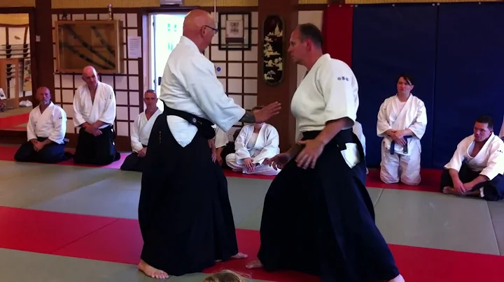 Shane Riley Shihan, Lowestoft 2017 - Irimi Nage fr...