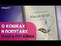 О кошках и попугаях | Мысли вслух