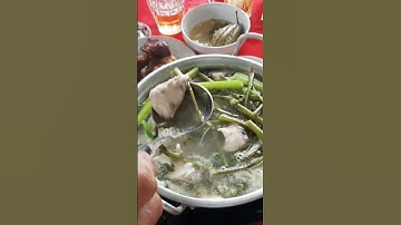 Thưởng thức món lẩu cá bớp #shorts