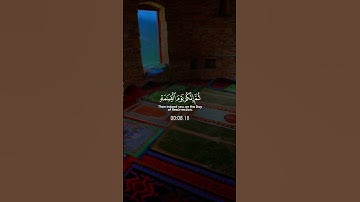 القرآن الكريم سورة الزمر الآية {31} بصوت الشيخ ماهر المعيقلي 🥀🫀🎧