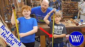 The Best Bench Height By The Data