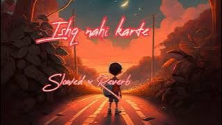 Ishq nahi karte song/(Slowed x Reverb)/#lofi