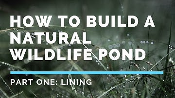 Using Bentonite to line a wildlife pond