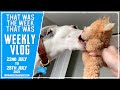 Weekly Vlog - July 2021 - WK#4