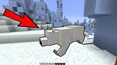 ماين كرافت 69 واخيرا لقينا ببغـاء Youtube
