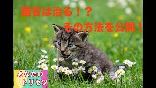 【必見】猫舌を改善・直す方法！治し方や原因は？食べ方が悪い？