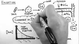 Pharmacokinetics 5 - Excretion