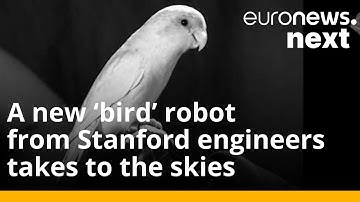 Stanford engineers have taken a leaf out of nature’s book to build this bird robot