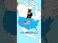 Why did Russia sell Alaska to the United States for such a low price #history #ww2 #shorts
