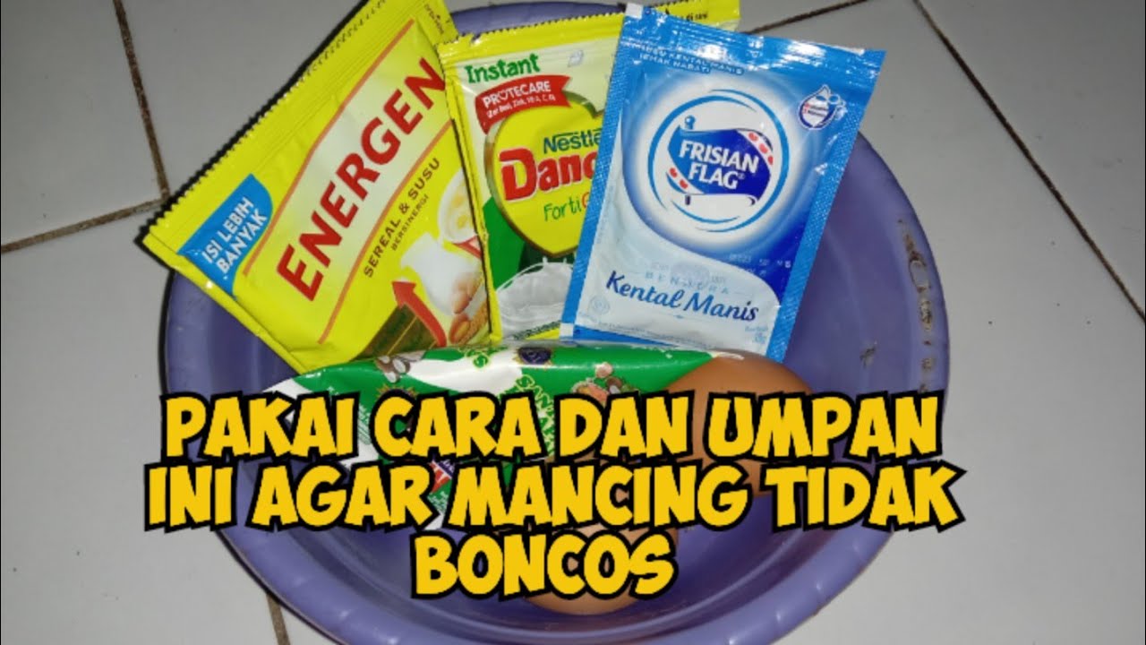 Tip dan trik mancing ikan mas