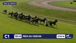 Vidéo de la course PMU PRIX DU CERVIN