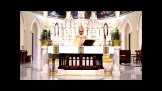 Easter Mass 2020 - Our Lady Queen of the Apostles Parish by randy ritter 401 views 4 years ago 52 minutes