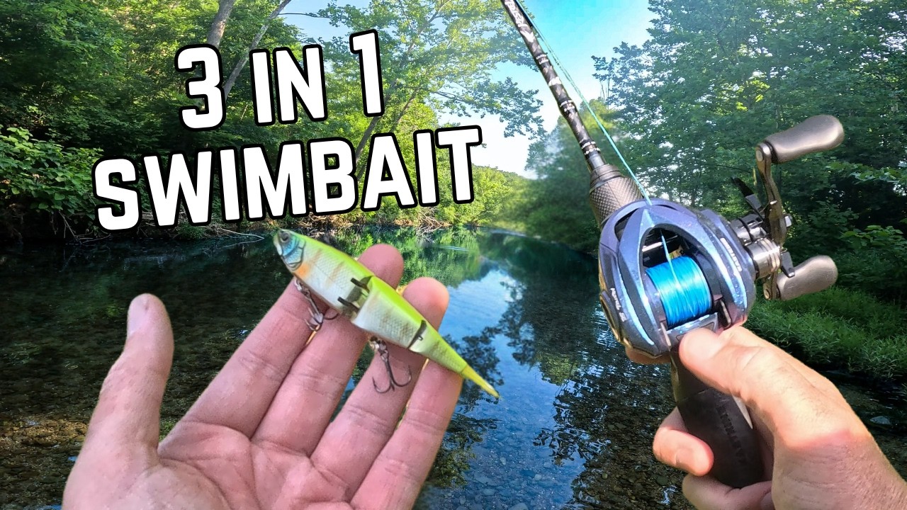 Customizable JDM Swimbait Catches EVERYTHING (BFS Creek Wade)