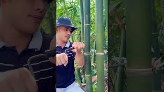 Survival Skills: How to Get Water from a BAMBOO Tree 💧#bamboo #survival #outdoor