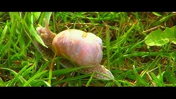 Timelapse with DIY motorized dolly slider - First shoot test