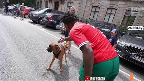 irl stream in Denmark DK