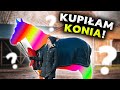 Kupiam konia   marzenie spenione 