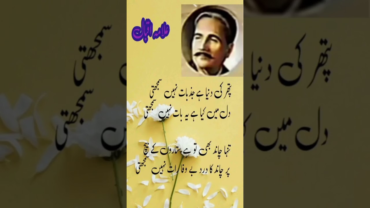 pathar ki duniya hai jajbat Nahin samajhti 