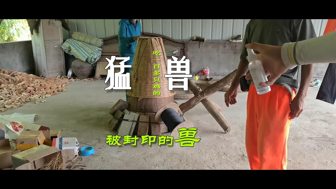 吃了一百多只鸡的兽该如何处理? - YouTube