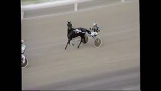 1996 Scioto Downs SWEET 'N' DANDY Brad Hanners