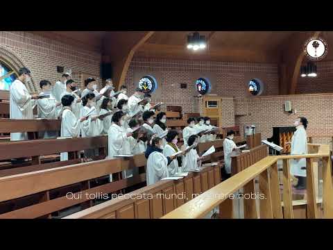 Gloria (2022.12.25 11시교중미사-주님성탄대축일) [이문동성당 칼리체성가대]