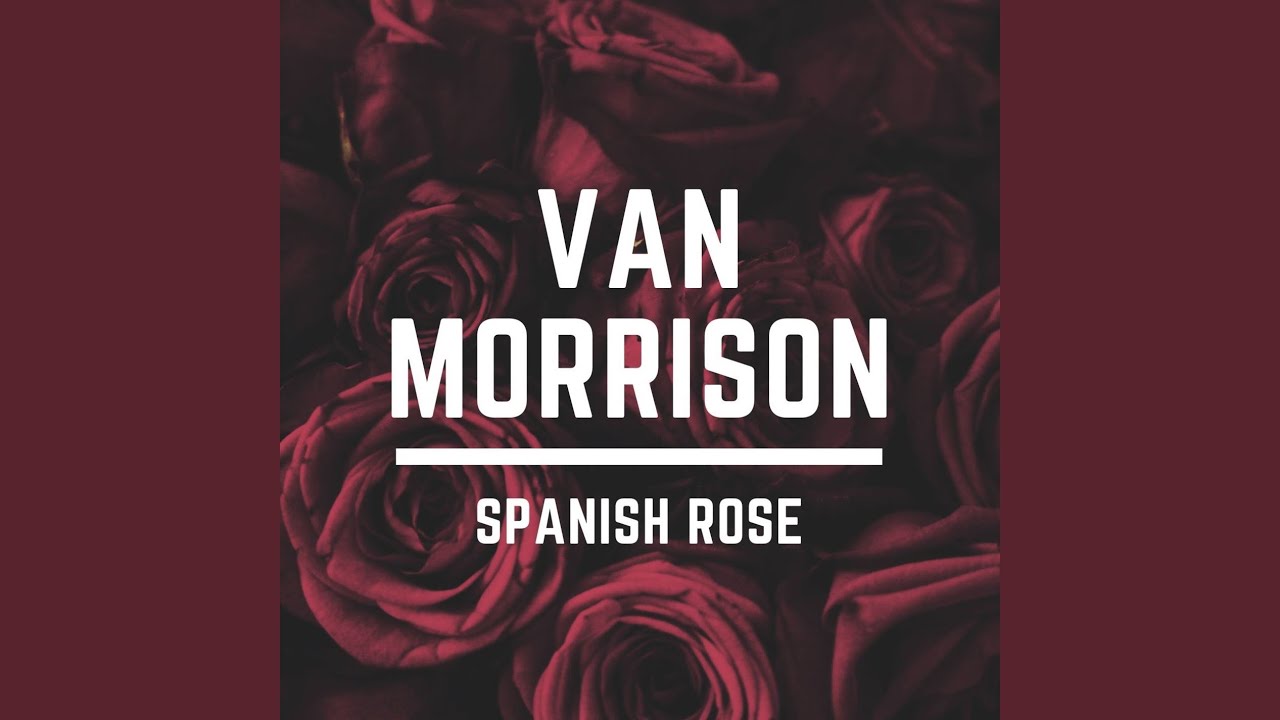 Spanish Rose (Live) YouTube