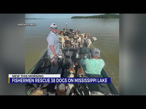 Fishermen rescue 38 dogs on Mississippi lake