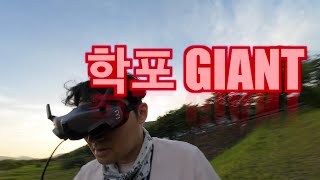 아바타2로 찍을 수 있는 것/DJI AVATA2