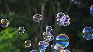 Soap bubbles floating in the air with natural green Wealth