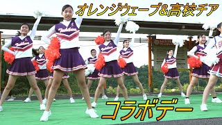 FERRIS チアリーディングウェア オレンジ mqdefault.jpg