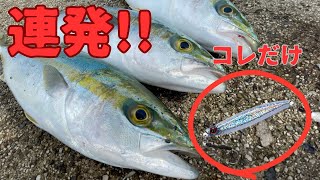 【ショアジギング】初心者もコレだけ投げれば釣れます