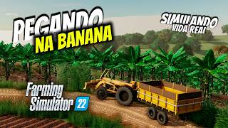 AO VIVO | PEGANDO na BANANA no MAPA AGRONOPOLIS 2.0 | FARMING SIMULATOR 22  #farmingsimulator #fs22
