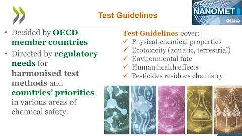 The pathway to Test Guidelines – The role and processes of OECD for global TG development