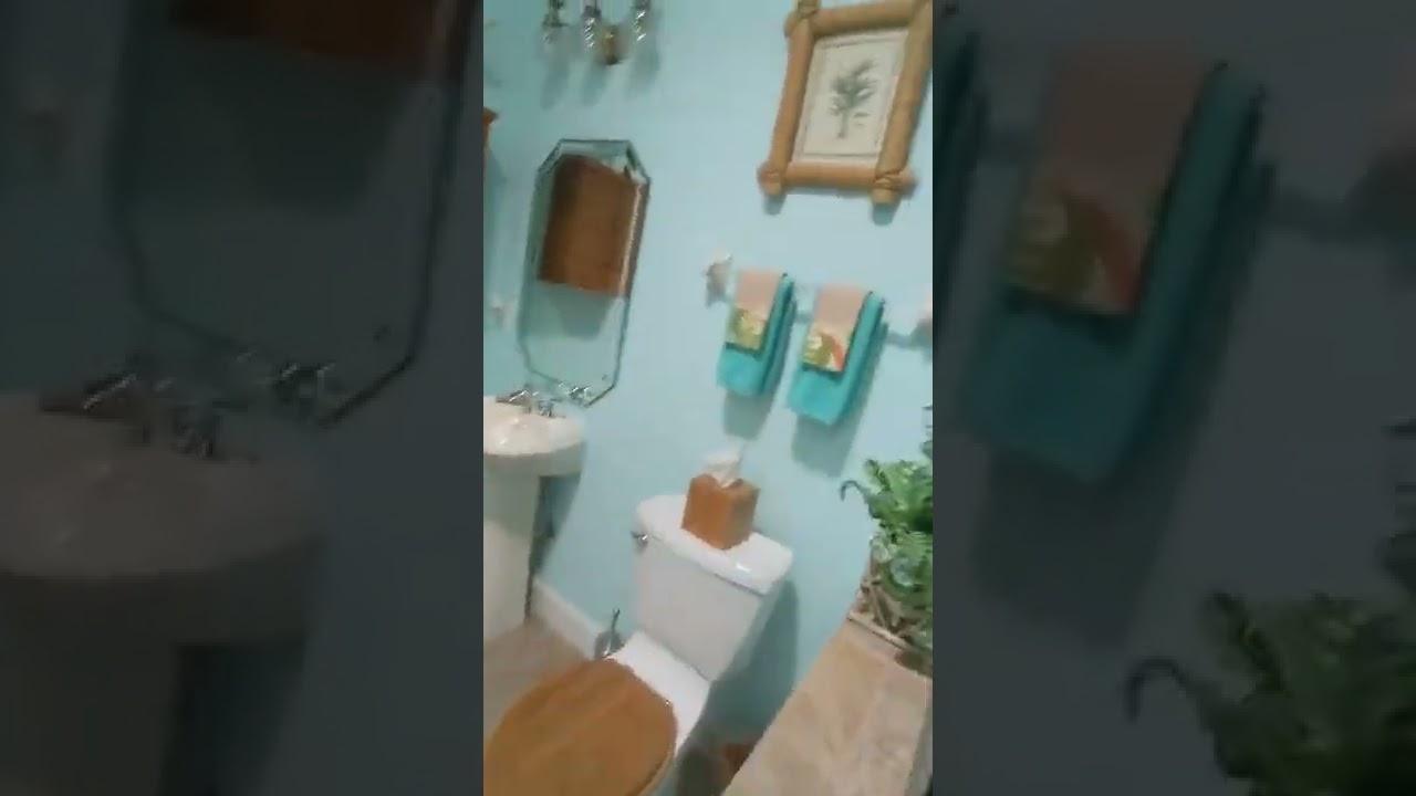 Ocala Home Odor Removal Services | Eliminate Cat Urine Odors | Make Your Home Smell Fresh & Clean!